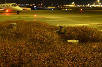 Messstellen innerhalb von Gruenpflanzen